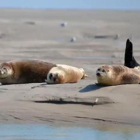 Gite Escale Oceania En Baie De Somme A Ault, 50M De La Mer Εξωτερικό φωτογραφία